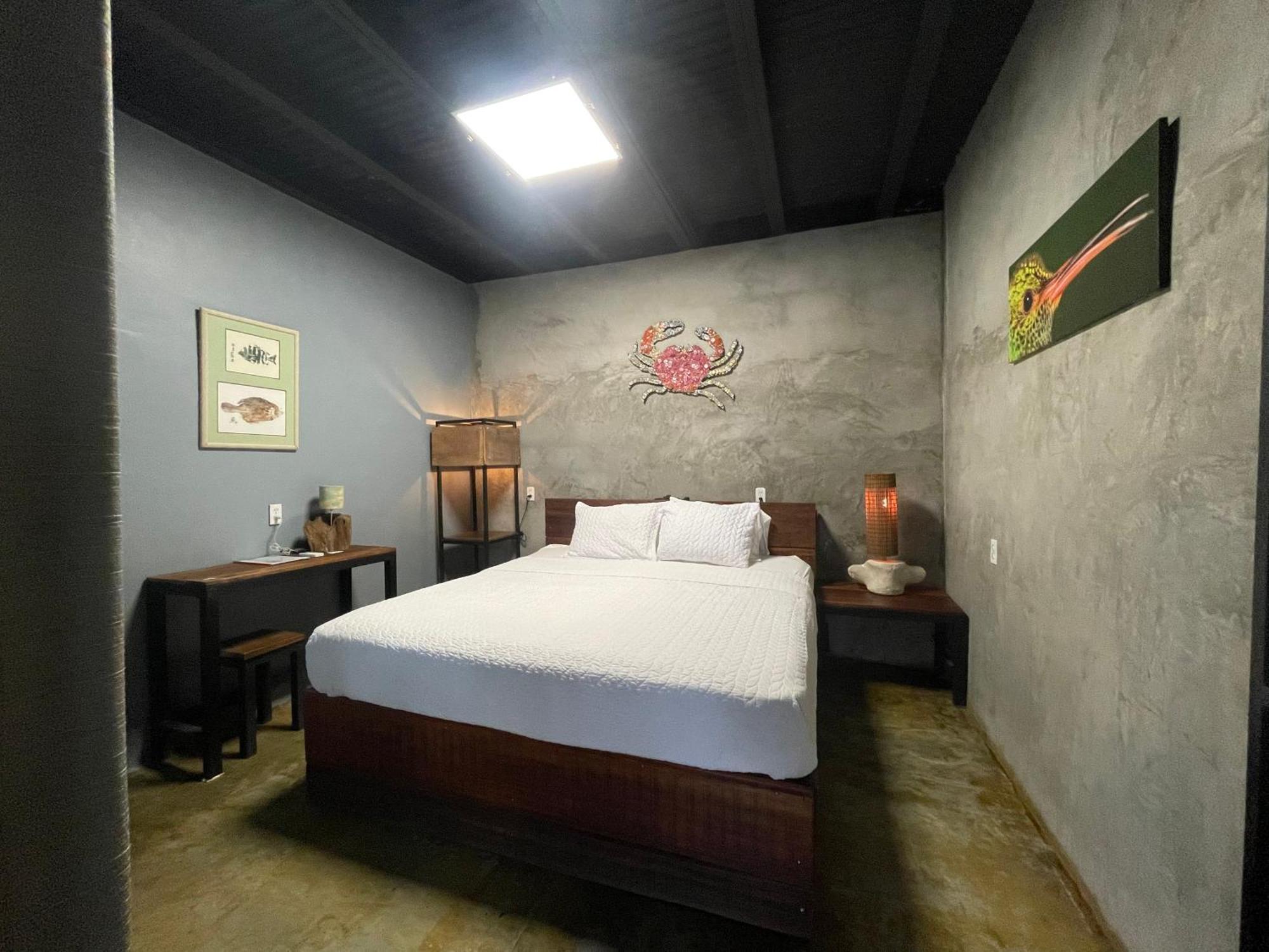 San Carlos Surf Resort & Eco Lodge 외부 사진